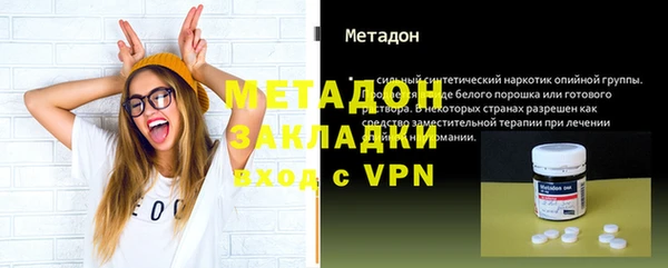 прущие грибы Наволоки