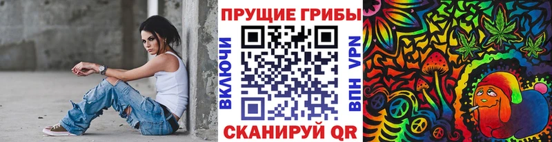 где купить   Чаплыгин  Галлюциногенные грибы Magic Shrooms 
